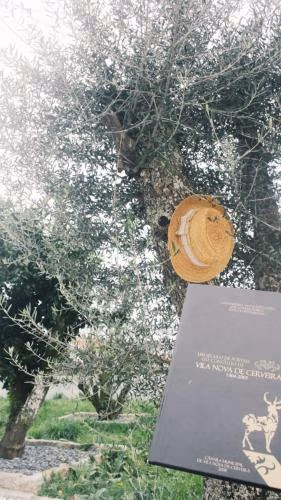 Refúgio Da Gandra — foto 6