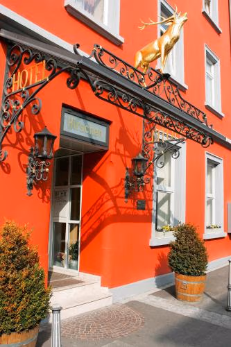 Hotel Hirschen — foto 5