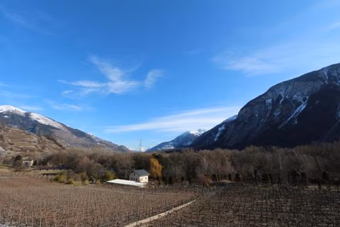 BnB Vino Veritas — foto 8