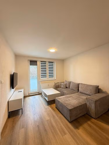 Mid-Town Spacious Apartment — photo 4