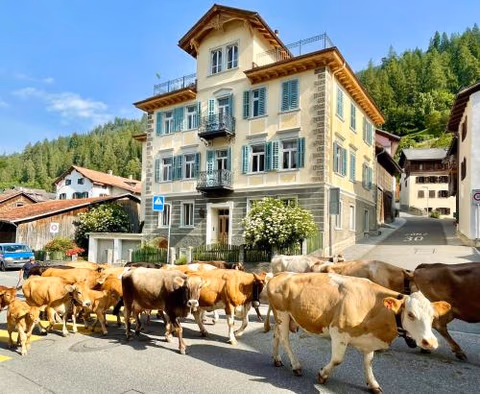 B&B La Scala — foto 2