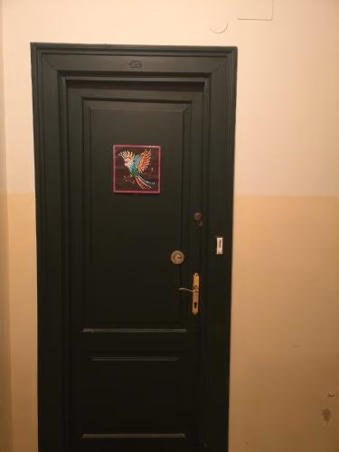 Fenice — foto 1