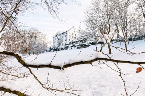 Schloss Wartegg — foto 4