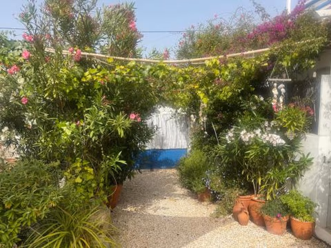Casa da Aldeia — foto 4
