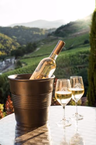 Wine Passion Panoramic — foto 4