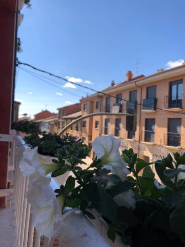 Hostal San Juan — foto 3