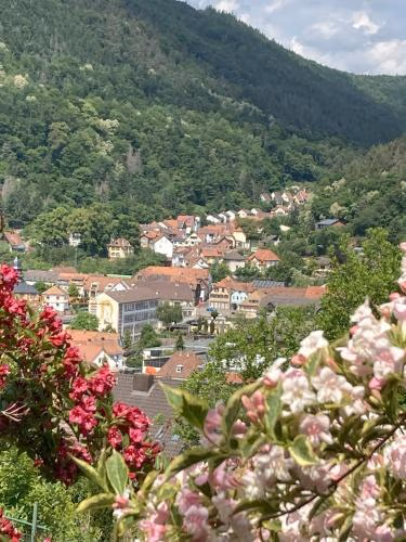 Ferienwohnung mit Weitblick — photo 5