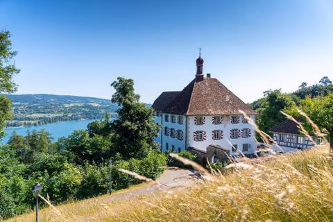 Schloss Freudenfels — foto 1