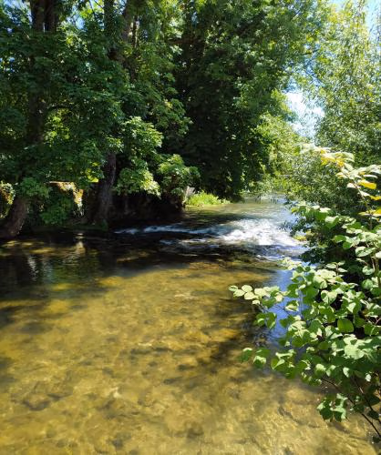 L'orée des 3 Rivières — foto 5