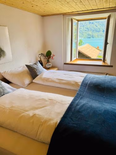 Lakeview Swiss Chalet with Hot Tub near Interlaken — foto 7