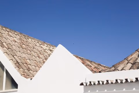 A Muralha — photo 4