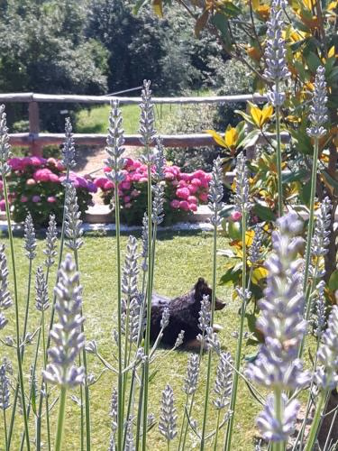 Ort holiday's time — foto 7