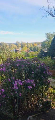 Pension Gasthaus zum Pegel — foto 3