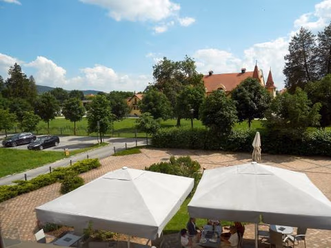 Hradná stráž Hotel&Apartments s privátnym wellness — foto 9