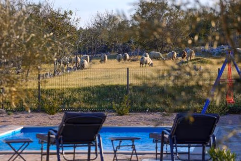 Villa Niko PET FRIENDLY 200 M FROM HIDDEN SANDY BEACH pets stays for free — foto 6