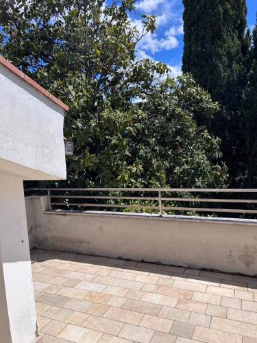 Hotel Alex — foto 2