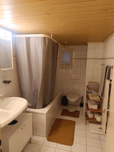 Como apartamento en el centro de st Gallen — foto 7