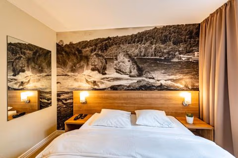 Hotel Kronenhof — foto 8
