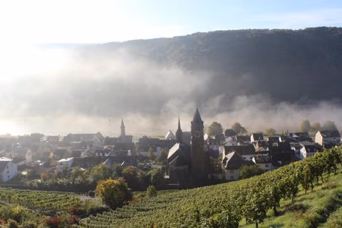 Winzerhof Gietzen — foto 8