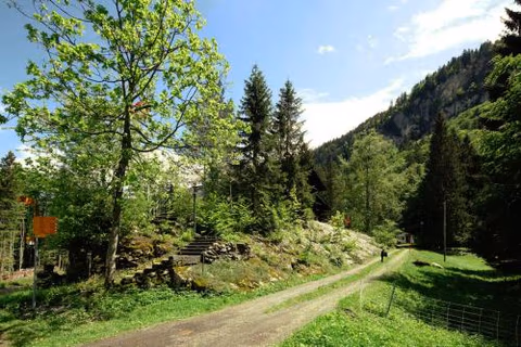 MOS Guesthouse Naturfreundehaus Brünig — foto 4