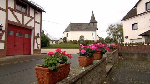 Holzfeld — photo 3