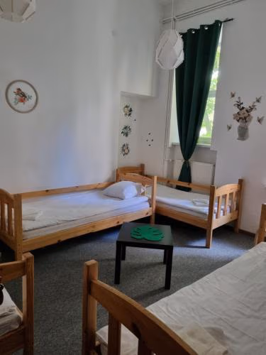 Green Cat Rooms — foto 4