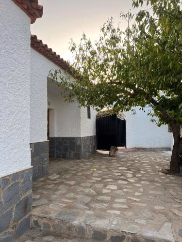 Pensión Xiquena — foto 6