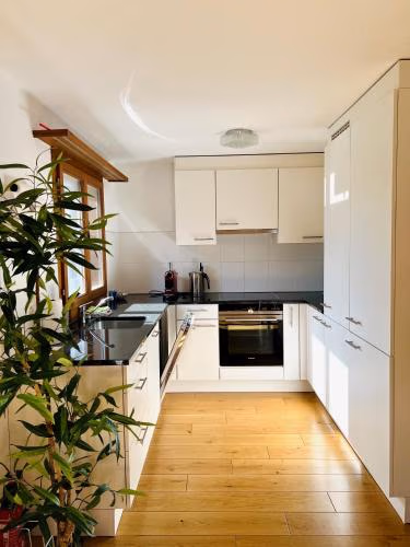 Maisonette 4.5 Zimmer, Nähe Ballenberg — foto 2