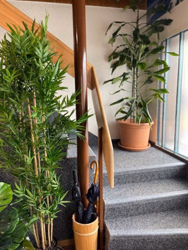 Boutique Hotel & Restaurant Bären Ringgenberg — foto 7