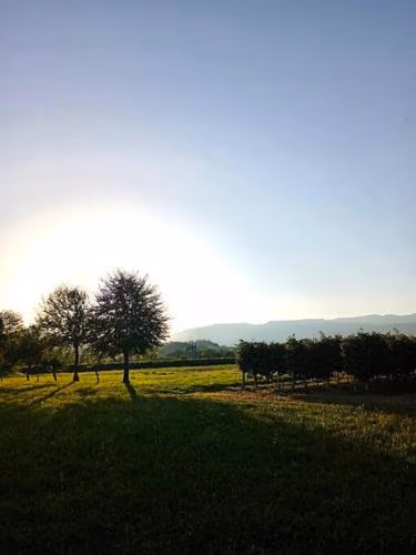 Relax nelle colline del Prosecco — foto 5