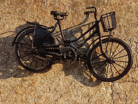 Bicycle House — photo 1
