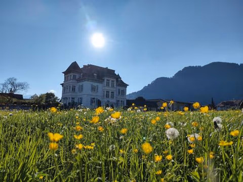 Adventure Hostel Interlaken — foto 3