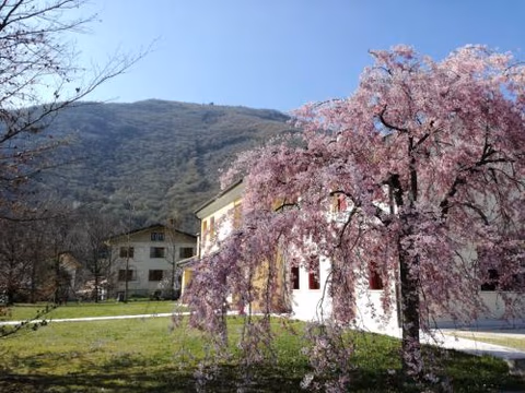 Agriturismo Memento — foto 4