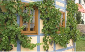 In der alten Weinstube — foto 6