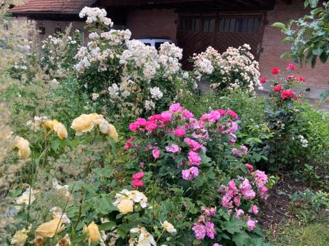 B&B Perron13 — foto 5