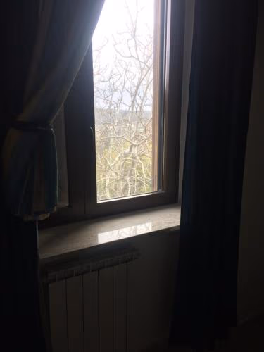 B&B La Vigna Di Mario — foto 8