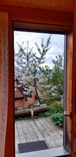 B&B Sunnesite Pratteln — foto 7