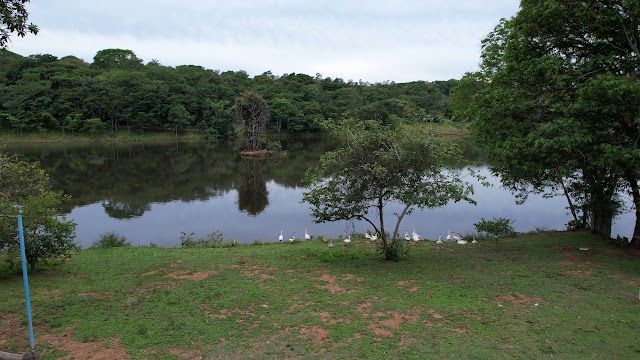 Foto 5