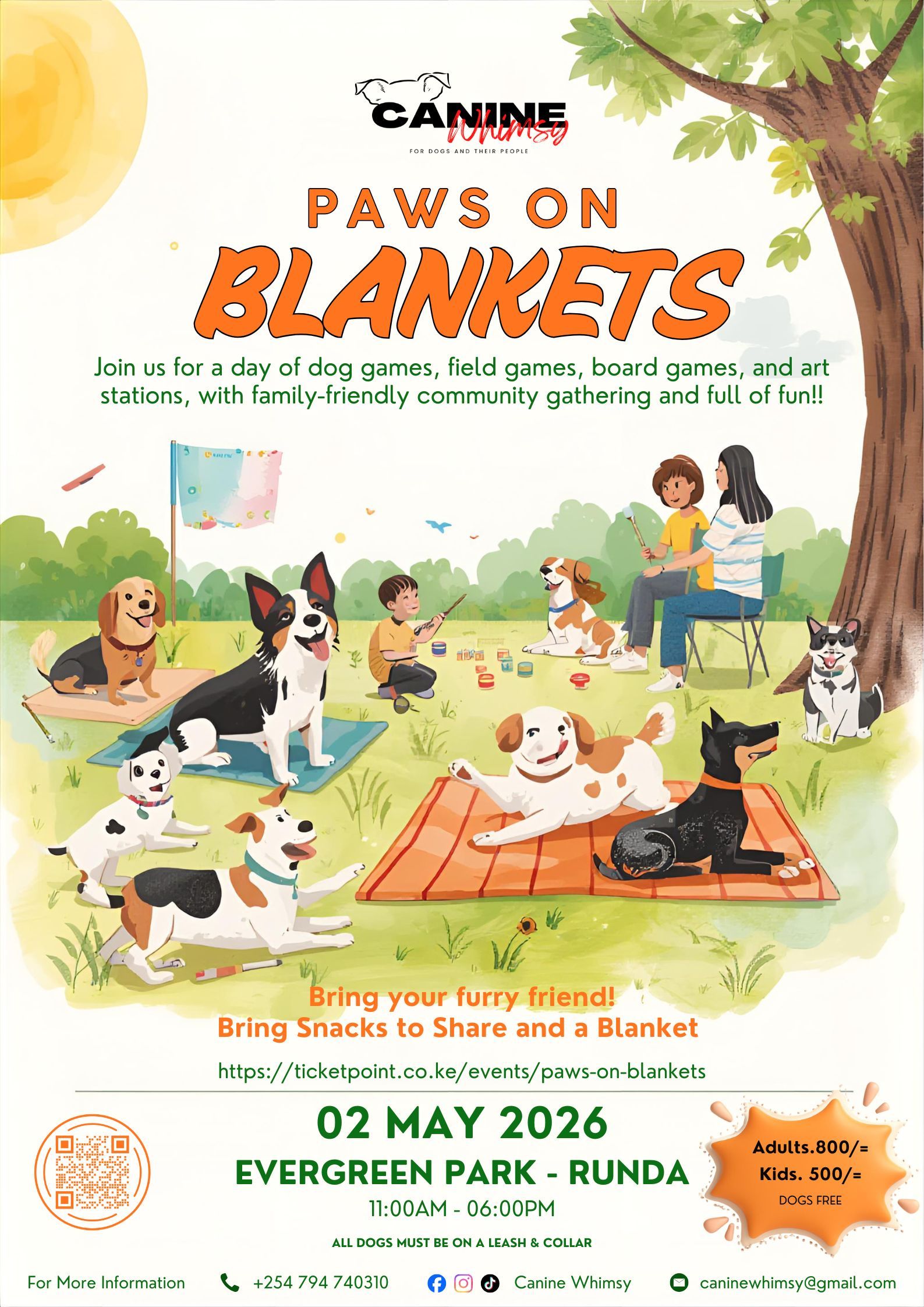 Paws on Blankets
