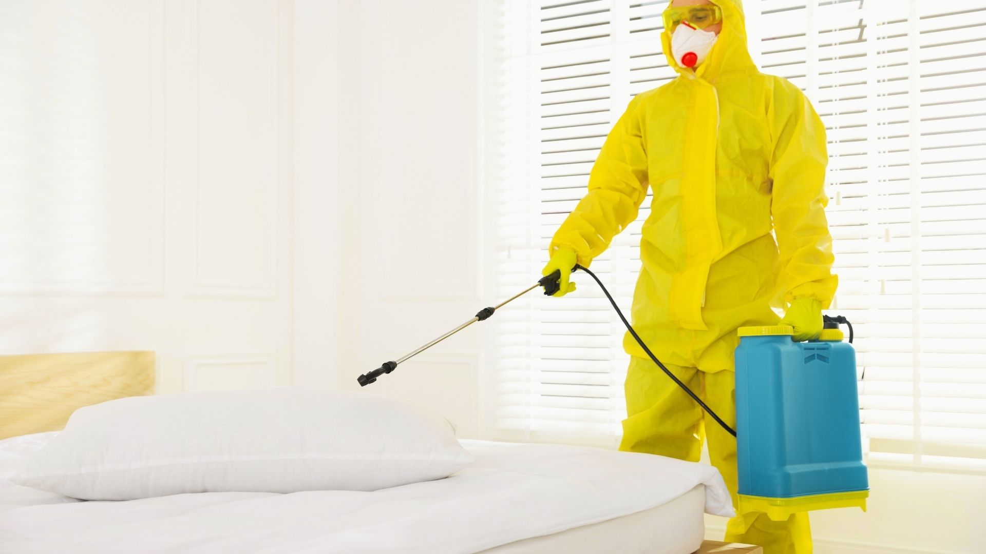 FAQS about Pest Control Services in Talco, TX