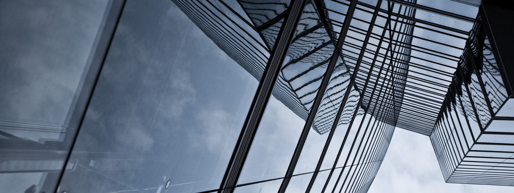 Due Diligence Verkäuferberaters | Capital Protect