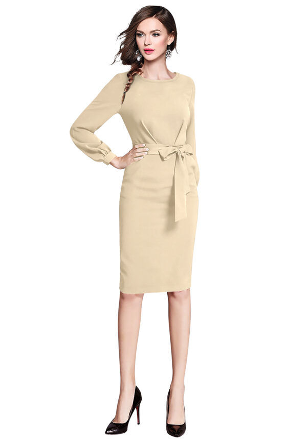 Gorgeous Chiku Bodycon Dress - Image 4