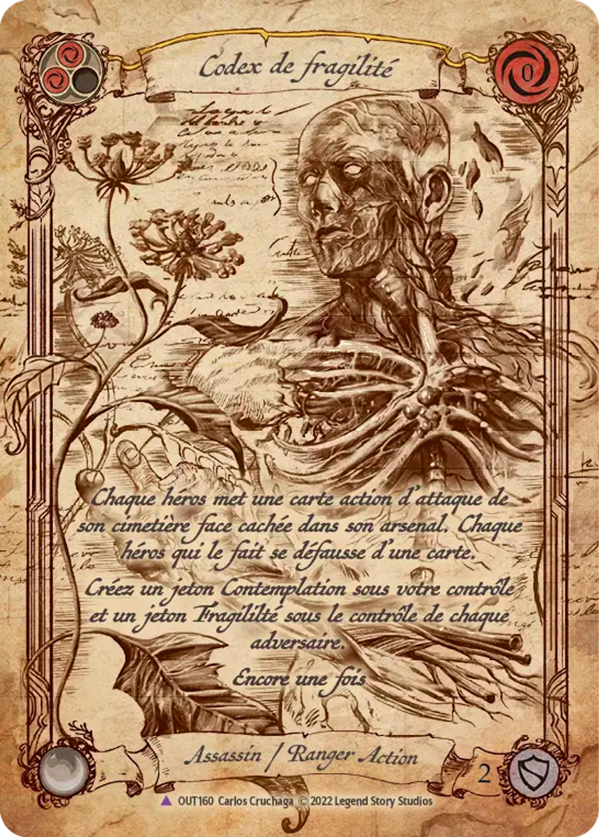 Codex de fragilité — Outsiders — Flesh and Blood