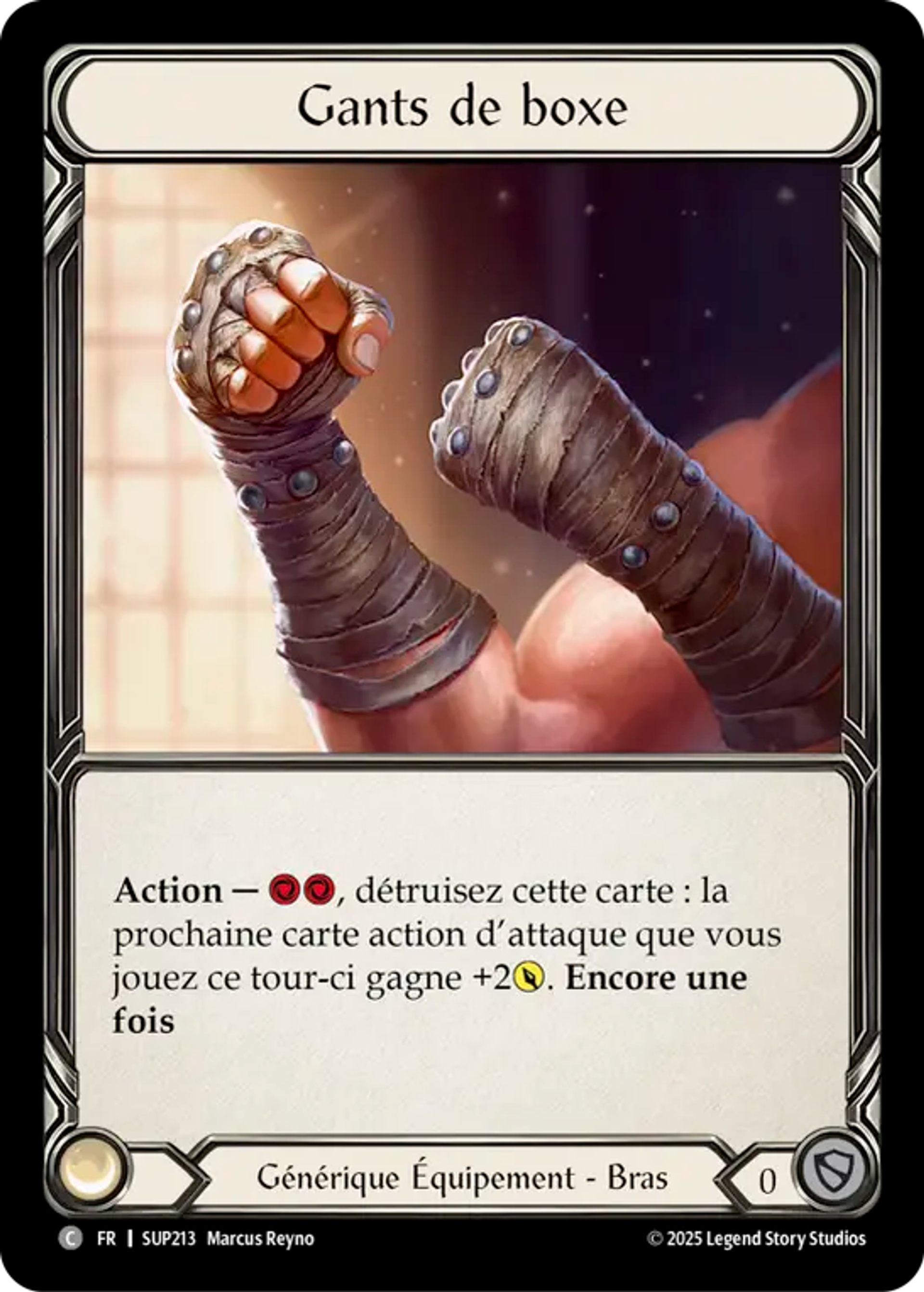 Gants de boxe — Super Slam — Flesh and Blood