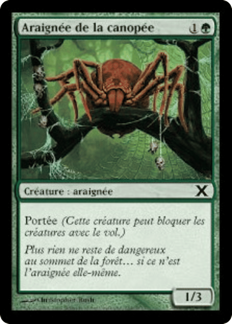 Araignée de la canopée — Tenth Edition — Magic: The Gathering
