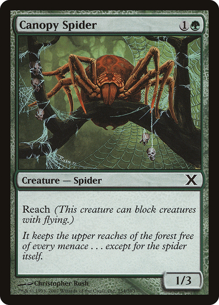 Canopy Spider — Tenth Edition — Magic: The Gathering