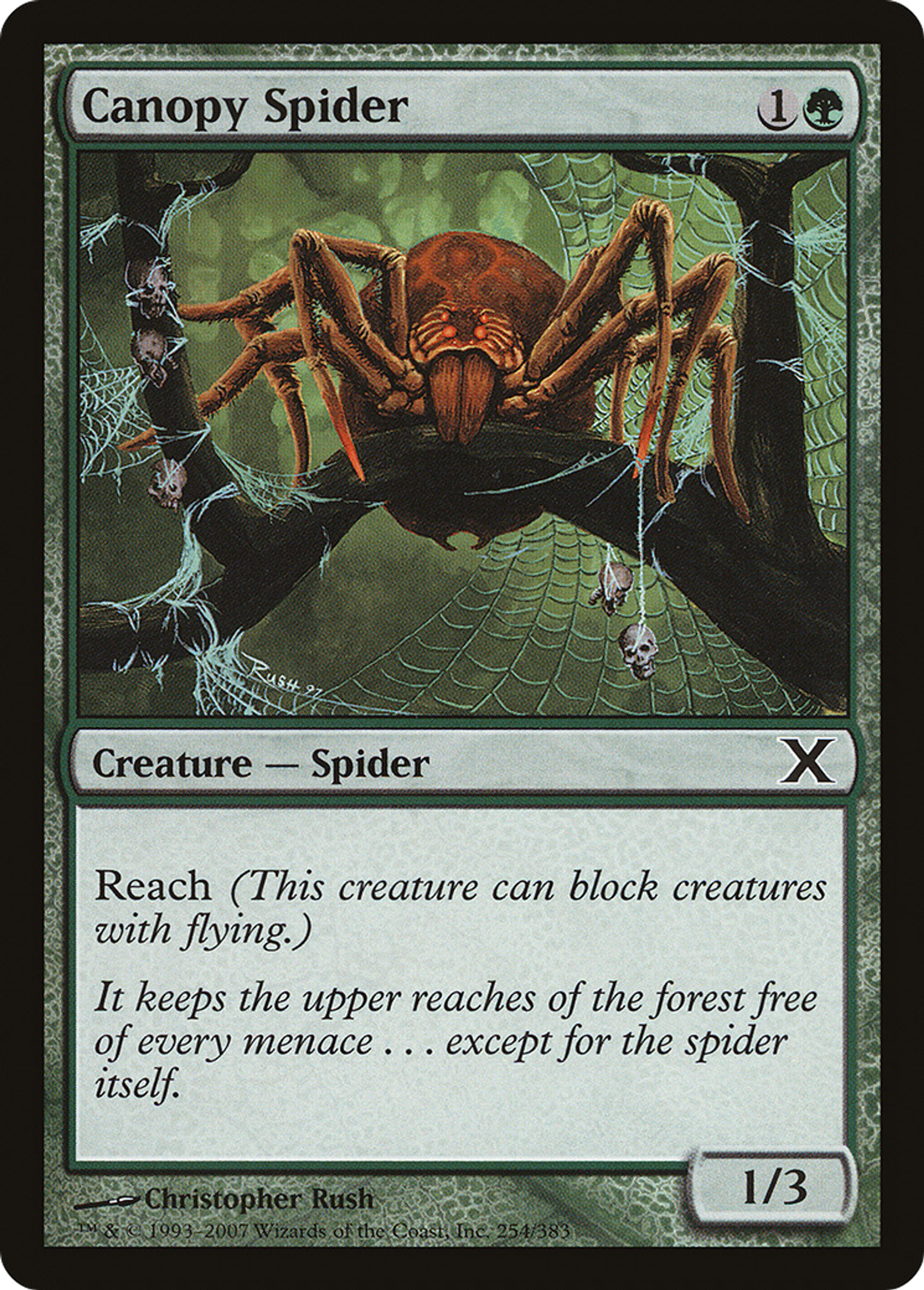 Canopy Spider — Tenth Edition — Magic: The Gathering