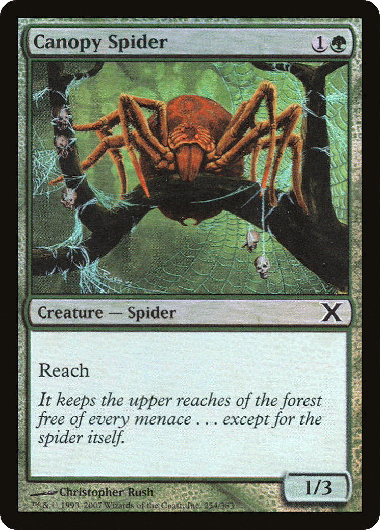 Canopy Spider — Tenth Edition — Magic: The Gathering