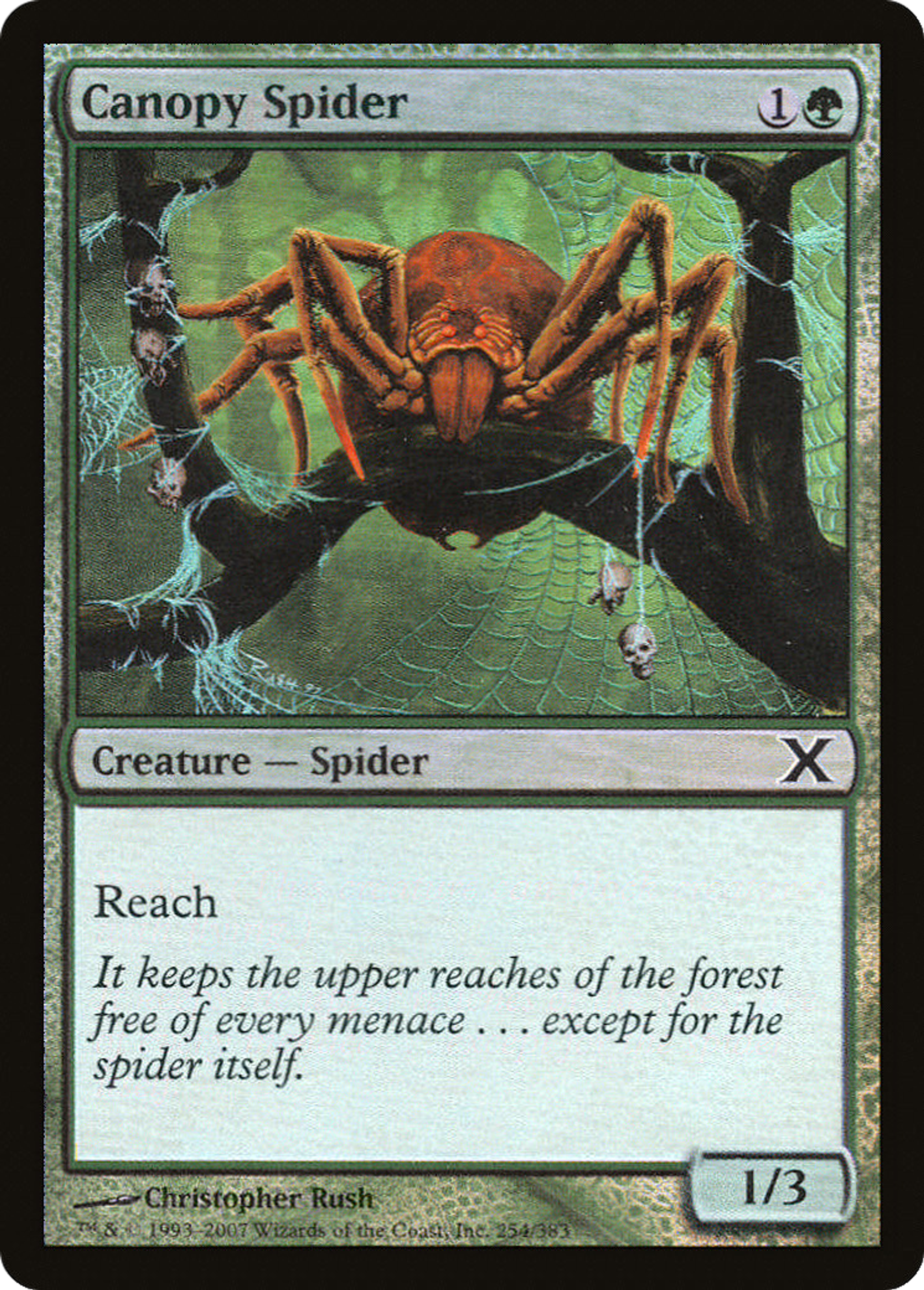 Canopy Spider — Tenth Edition — Magic: The Gathering