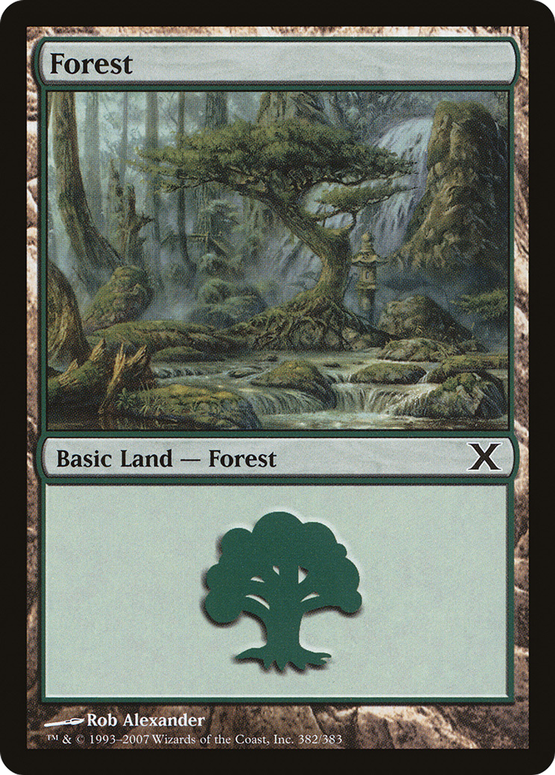 Forest — Tenth Edition — Magic: The Gathering